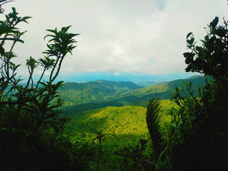 2 Guest Tour for $99 … El Yunque Adventure+Beach Time & Shopping w/Hotel Pick Up